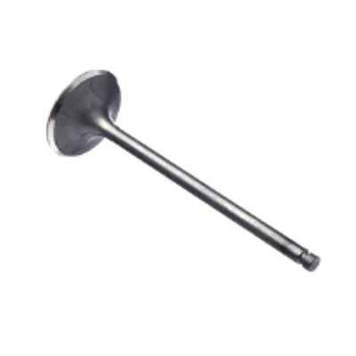 Valvula-Escape-2R0109611