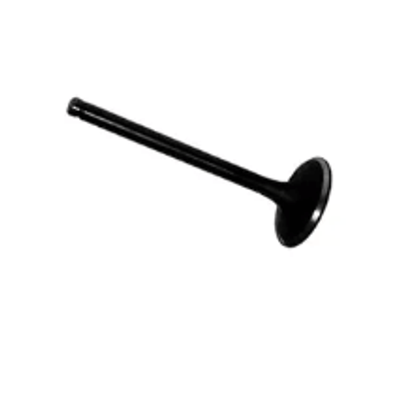 Valvula-Admissao-Motor-Mwm-2RA109601